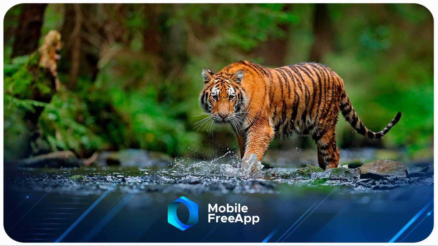 animais que estao em extinçao