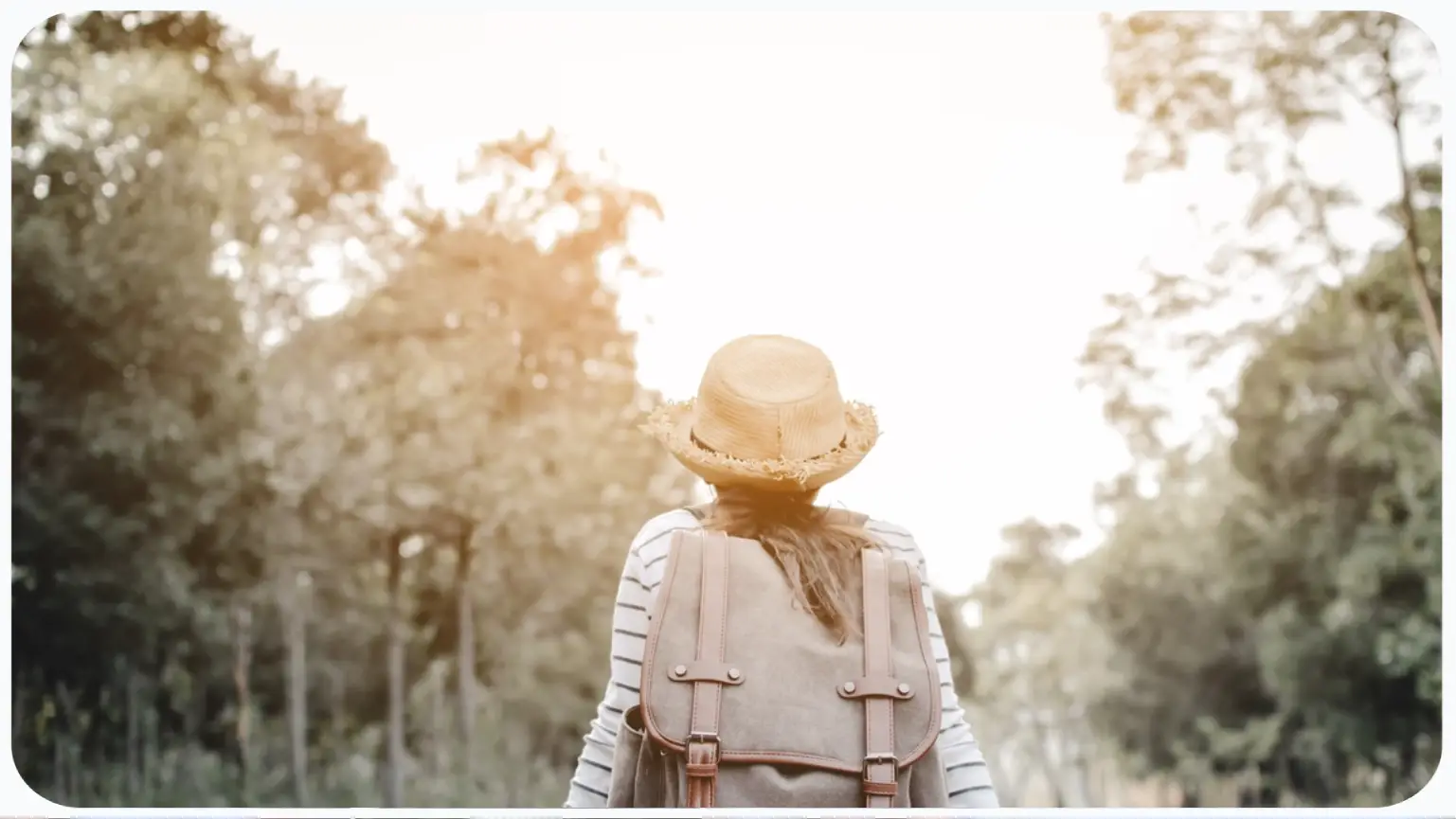 aplicativos de ecoturismo