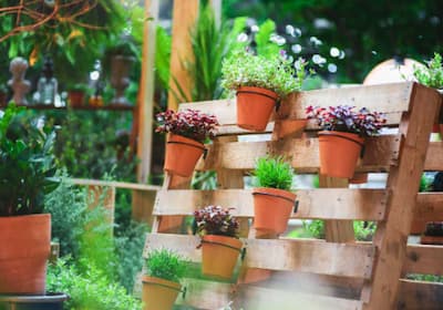 jardinagem terapêutica