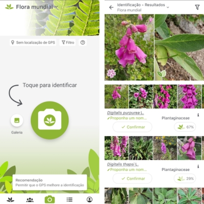 Aplicativos para Identificar Árvores