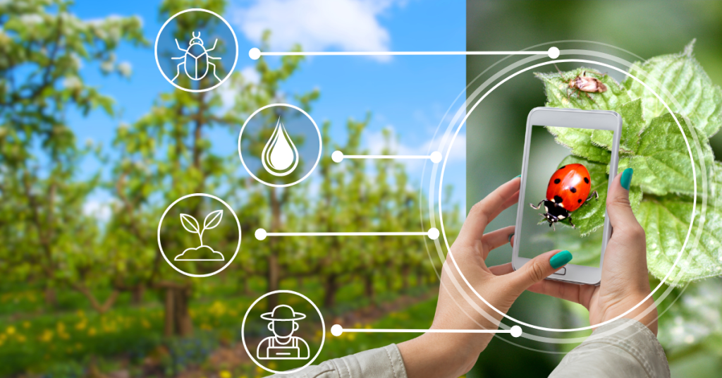 aplicativo para indentificar inseto