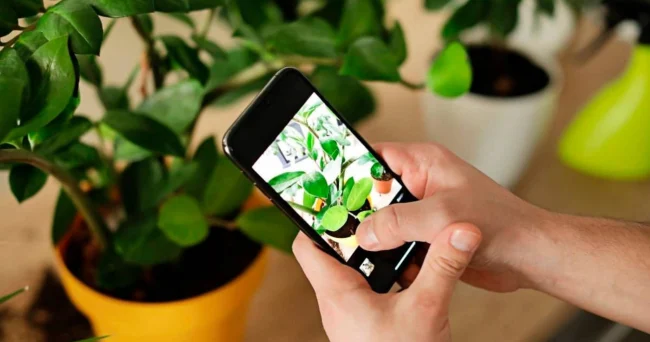 aplicativo para identificar plantas